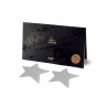 Серебристые пэстисы-звезды Flash Star Pasties