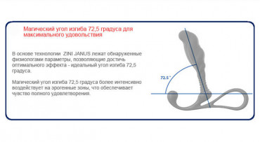 Малый черный массажер простаты Zini Janus Anti-Shock