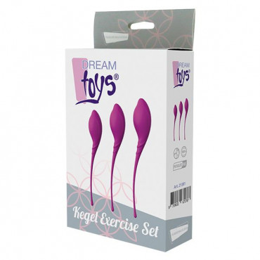 Набор из 3 фиолетовых вагинальных шариков Pleasure Balls & Eggs Kegel Exercise Set