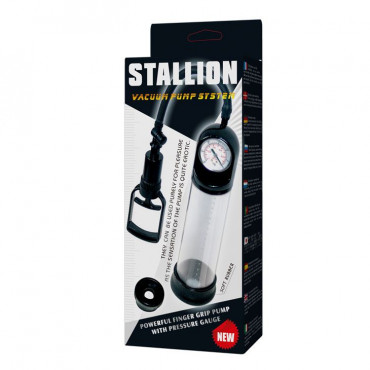 Вакуумная помпа Stallion с манометром